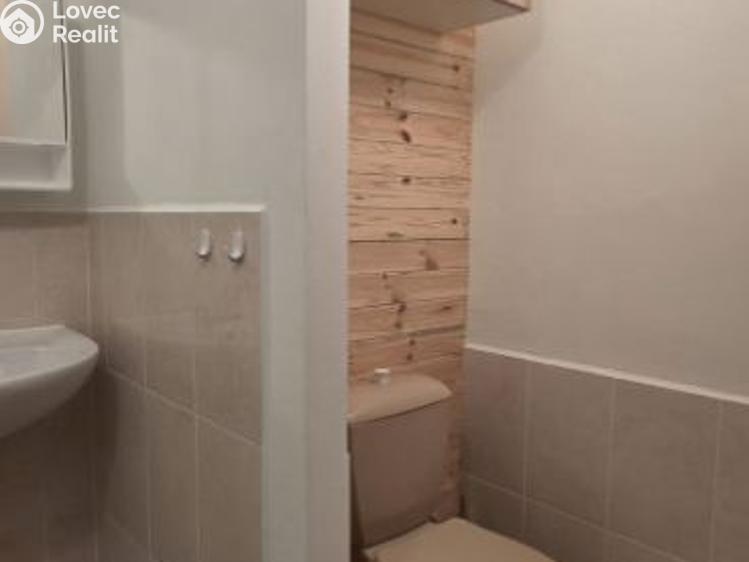 Rent apartment 2+1 Chodová Planá, sídliště Lučina č. 11