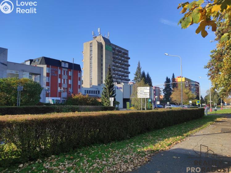 Pronájem bytu 1+KK Kopřivnice, Záhumenní č. 1