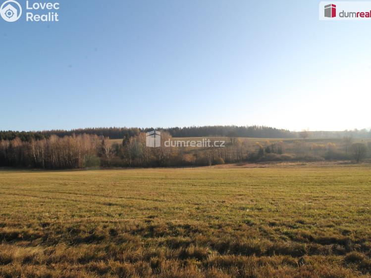 Prodej rodinného domu Kraslice č. 22