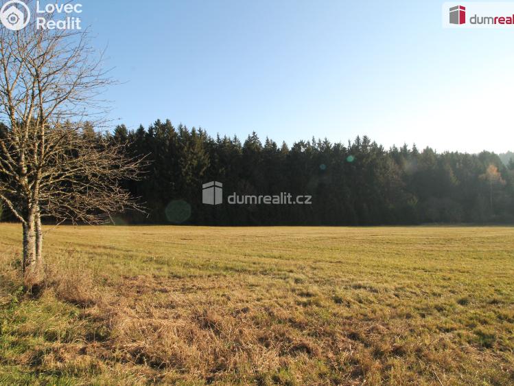 Prodej rodinného domu Kraslice č. 23