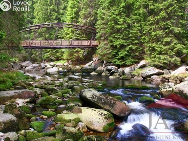 Prodej chalupy Srní č. 33