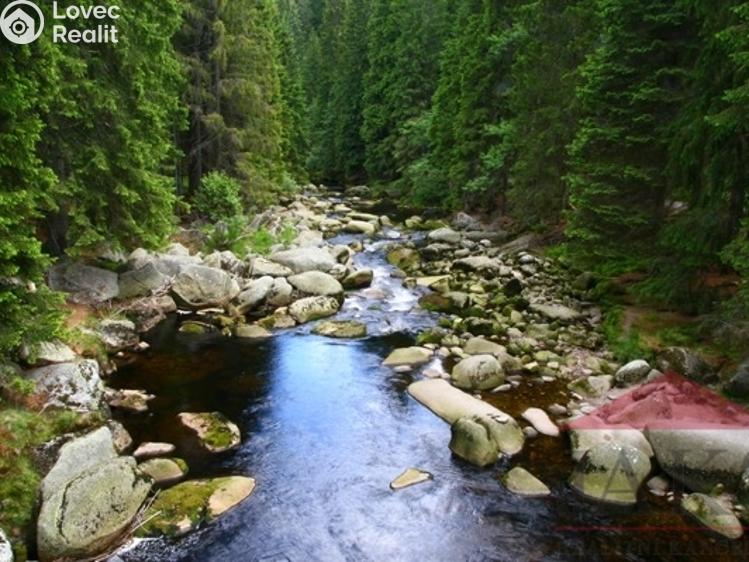 Prodej chalupy Srní č. 32