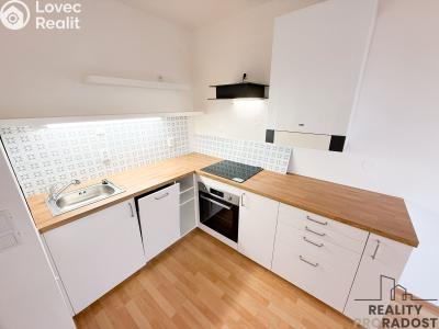 Pronájem bytu 2+KK Brandýs nad Labem-Stará Boleslav, Vrábská č. 1