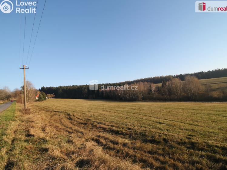 Prodej rodinného domu Kraslice č. 16