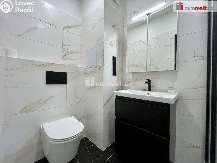 Pronájem bytu 3+1 Karlovy Vary, Šmeralova č. 10