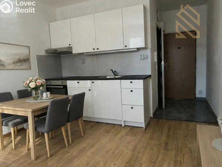 Pronájem bytu 1+1 Louny, Petra Obrovce 2254 č. 1