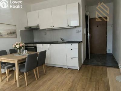 Pronájem bytu 1+1 Louny, Petra Obrovce 2254 č. 1