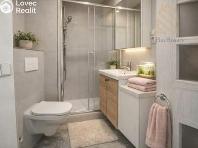 Pronájem bytu 1+1 Louny, Petra Obrovce 2254 č. 3