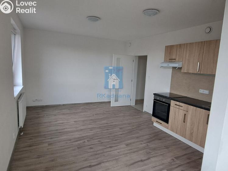 Оренда квартири 1+KK Plzeň, Železniční č. 3