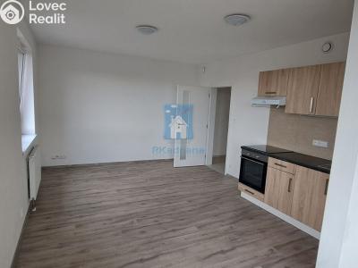 Pronájem bytu 1+KK Plzeň, Železniční č. 3