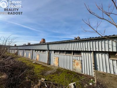 Prodej výrobní haly Křepice č. 3