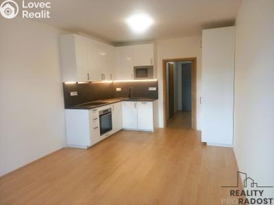 Pronájem bytu 1+KK Olomouc, Věry Pánkové č. 3