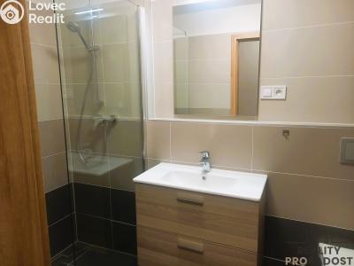 Pronájem bytu 1+KK Olomouc, Věry Pánkové č. 6