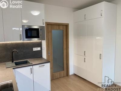 Pronájem bytu 1+KK Olomouc, Věry Pánkové č. 4