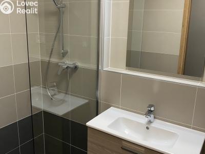 Pronájem bytu 1+KK Olomouc, Věry Pánkové č. 5