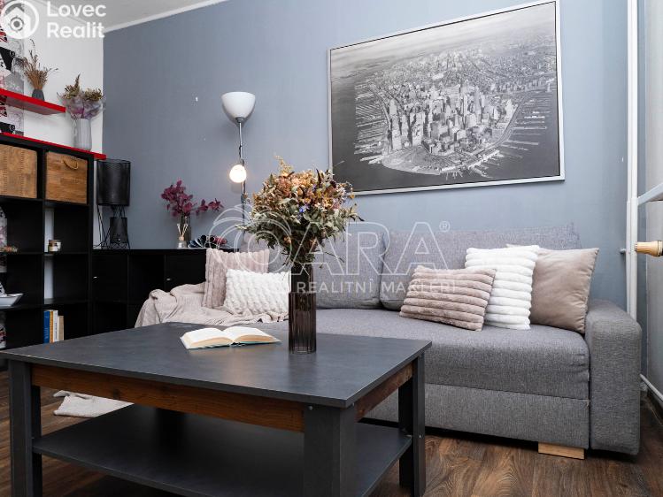 Prodej bytu 2+1 Ostrava, Dolní 3014/82 č. 13