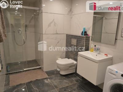 Pronájem bytu 1+KK Praha 3, Olšanská č. 6