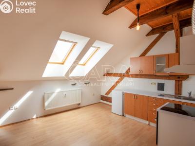 Prodej bytu 2+KK České Budějovice, Puklicova č. 2