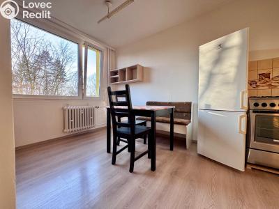 Pronájem bytu 2+1 Praha, Bojasova č. 1