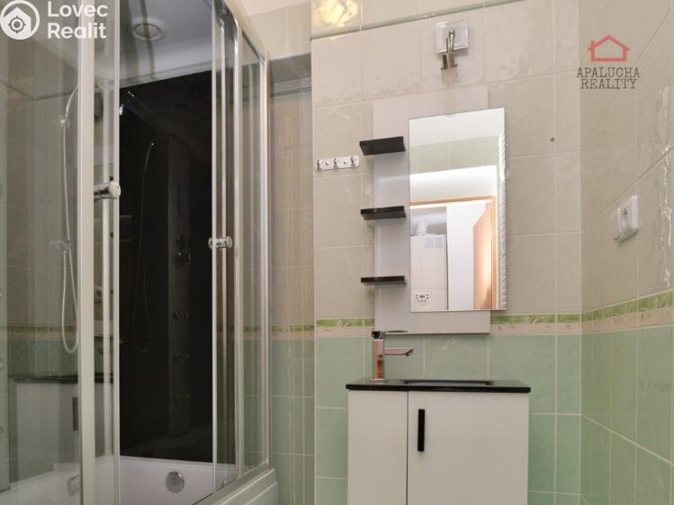 Pronájem bytu 2+KK Milovice, Kaštanová 670 č. 9