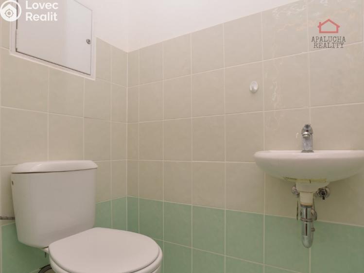 Pronájem bytu 2+KK Milovice, Kaštanová 670 č. 10