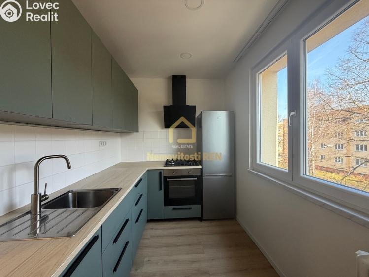 Pronájem bytu 2+1 Ostrava, Jižní č. 1