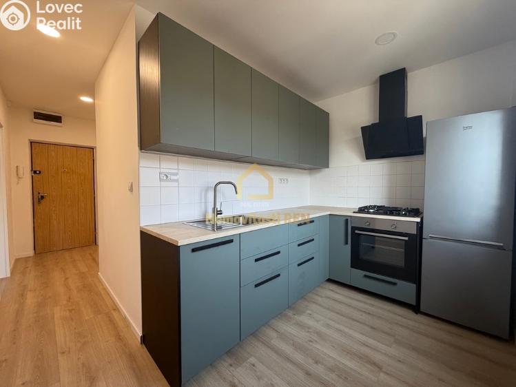 Pronájem bytu 2+1 Ostrava, Jižní č. 7