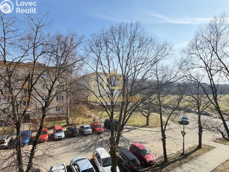 Pronájem bytu 2+1 Ostrava, Jižní č. 8