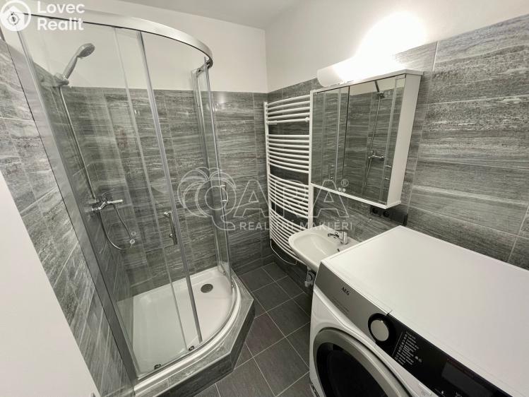 Pronájem bytu 3+KK Kladno, Dlouhá č. 9