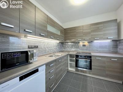 Pronájem bytu 3+KK Kladno, Dlouhá č. 1