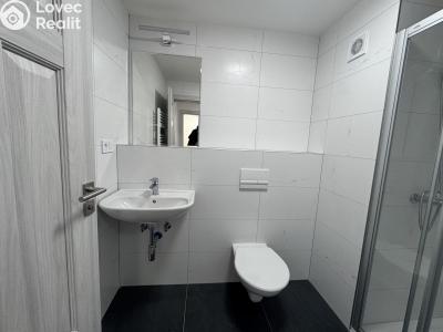 Pronájem bytu 1+KK Praha, Na Petynce č. 2