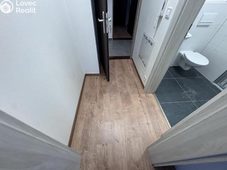 Pronájem bytu 1+KK Praha, Na Petynce č. 5