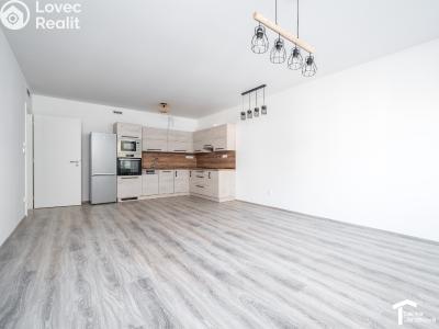 Pronájem bytu 2+KK Pardubice, nábřeží Závodu míru 2940 č. 4