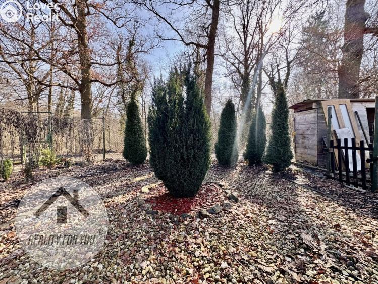 Prodej chaty Mimoň, Letná 256 č. 6