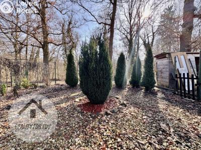 Prodej chaty Mimoň, Letná 256 č. 6