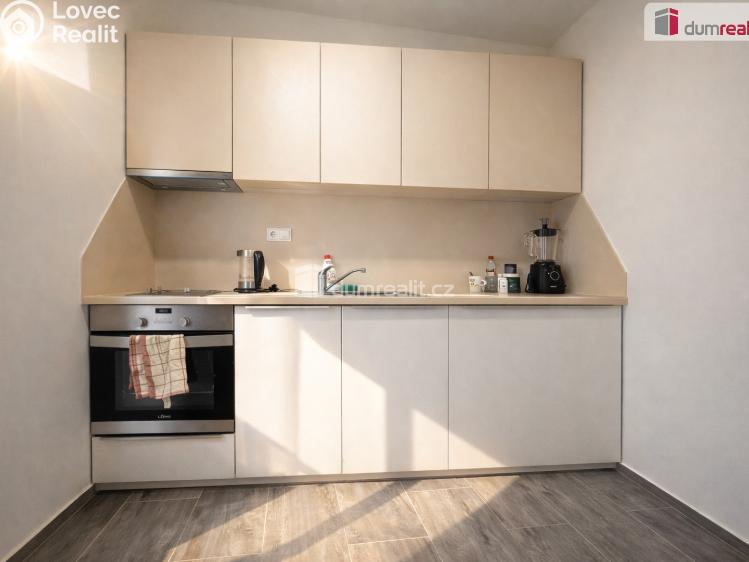 Pronájem bytu 1+1 Teplice, Křičkova č. 1