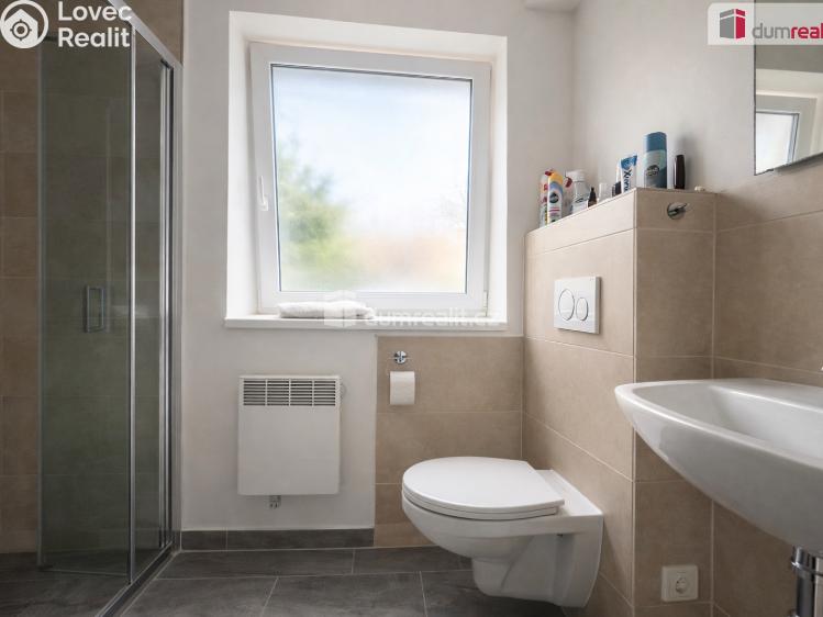 Pronájem bytu 1+1 Teplice, Křičkova č. 5