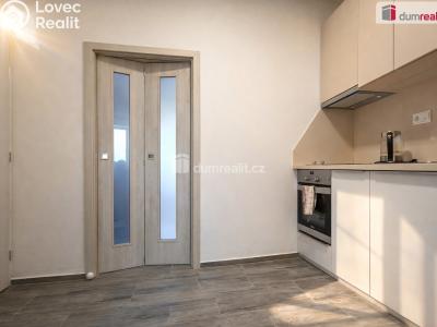 Pronájem bytu 1+1 Teplice, Křičkova č. 2