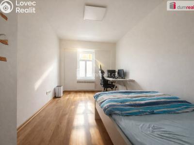 Pronájem bytu 1+1 Teplice, Křičkova č. 3