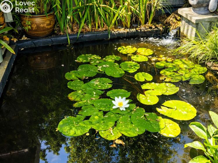 Rent apartment 4+KK Praha, Mistrovská č. 15