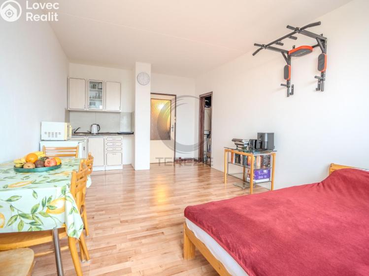 Prodej bytu 1+KK Praha, Daškova č. 13