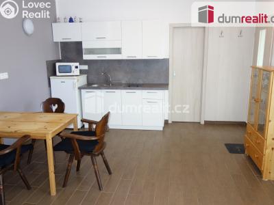 Аренда семейного дома Kostice, Lanžhotská č. 4