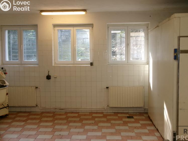 Rent production hall Střelice č. 2