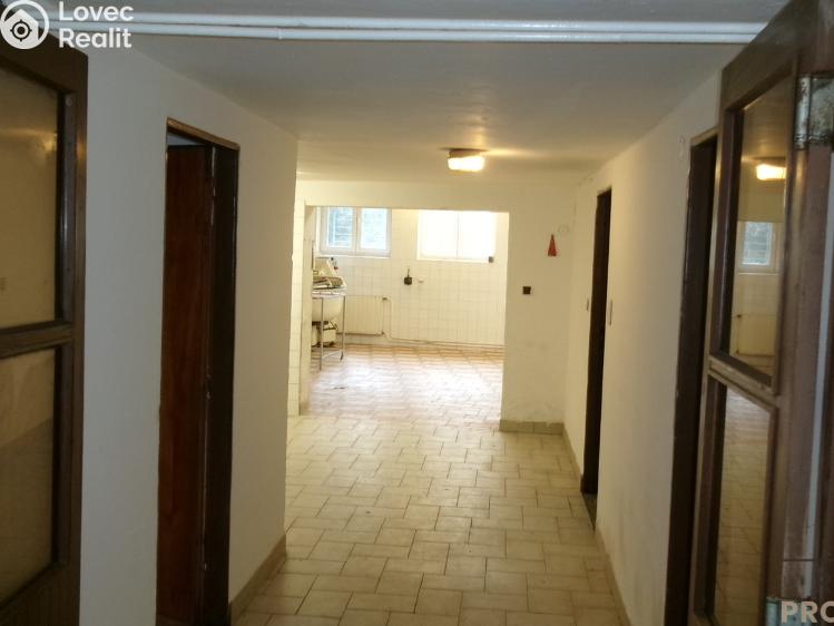 Rent production hall Střelice č. 10