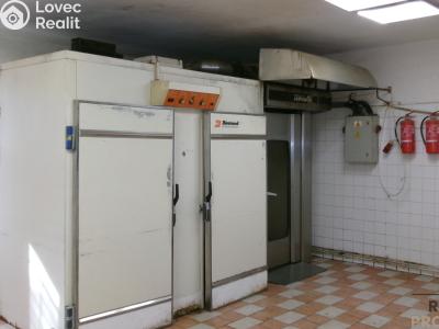 Rent production hall Střelice č. 1