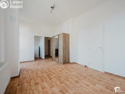 Pronájem bytu 1+KK Pardubice, 17. listopadu 221 č. 2