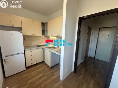 Pronájem bytu 1+1 Ostrava, Horní č. 3