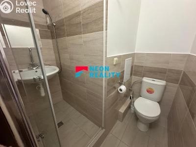 Pronájem bytu 1+1 Ostrava, Horní č. 4