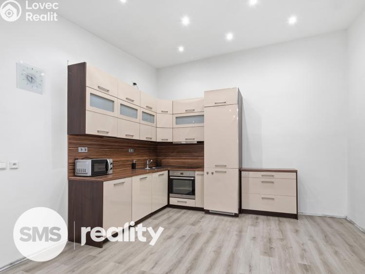 Оренда сімейного будинку Vážany nad Litavou č. 3