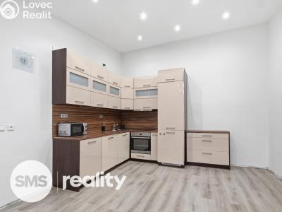 Оренда сімейного будинку Vážany nad Litavou č. 4